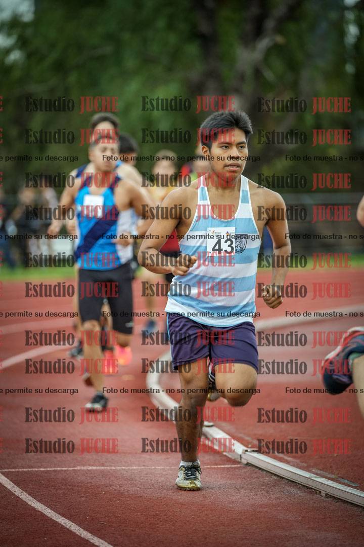 Fotos de los 1500 m llanos de varones