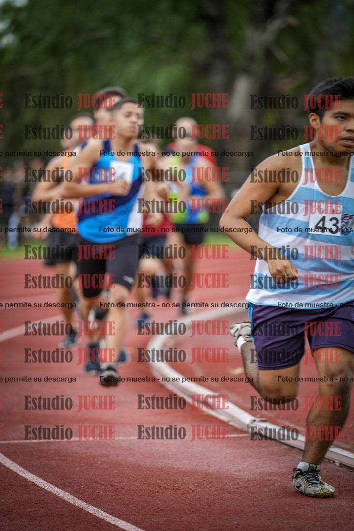 Fotos de los 1500 m llanos de varones