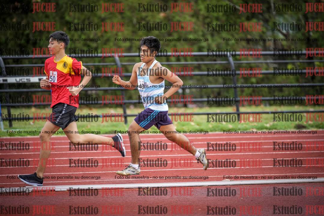 Fotos de los 1500 m llanos de varones