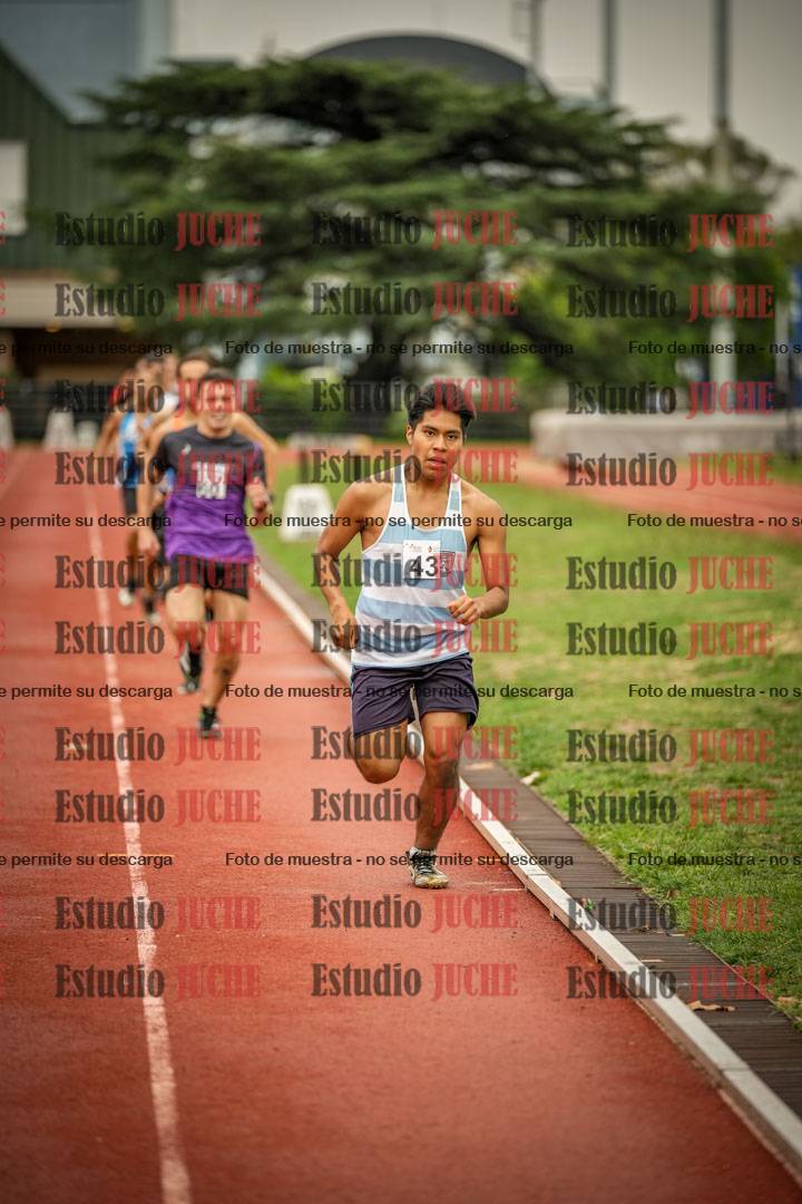 Fotos de los 1500 m llanos de varones