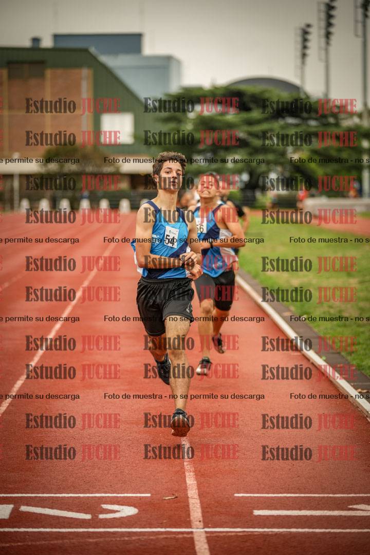Fotos de los 1500 m llanos de varones