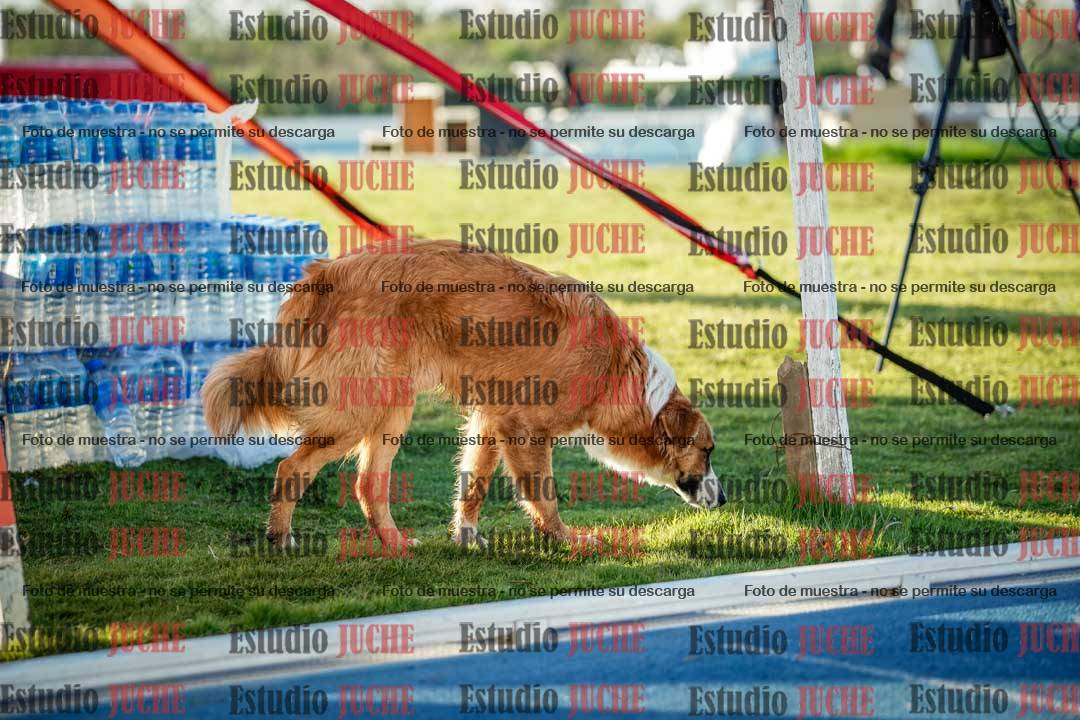 Fotos de algunos podios y extras del evento
