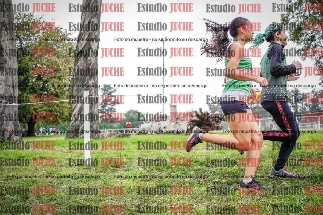 Fotos en el cuarto punto del circuito