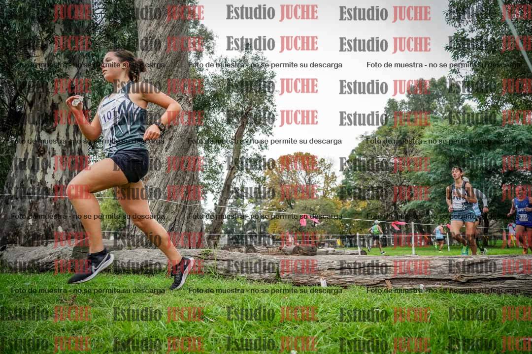 Fotos en el sexto punto del circuito