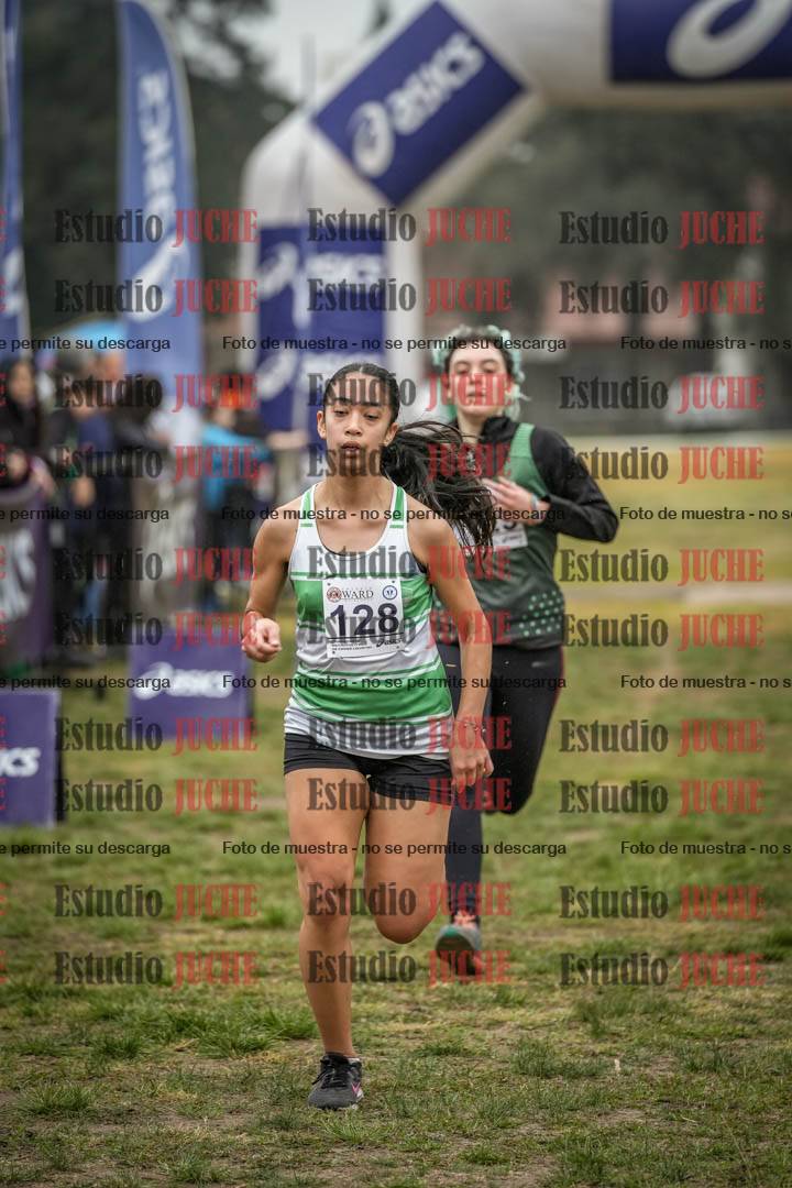 Fotos de la llegada del cross de 4000 m - mujeres y varones