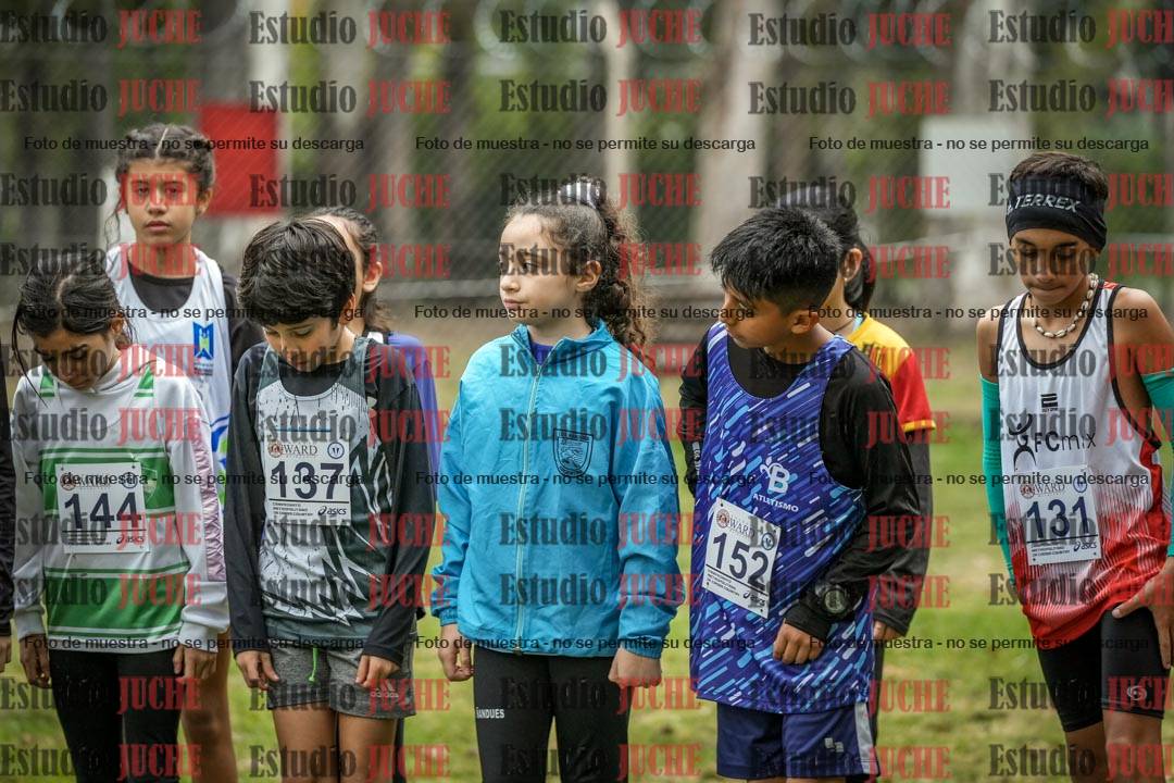 Fotos en de la largada