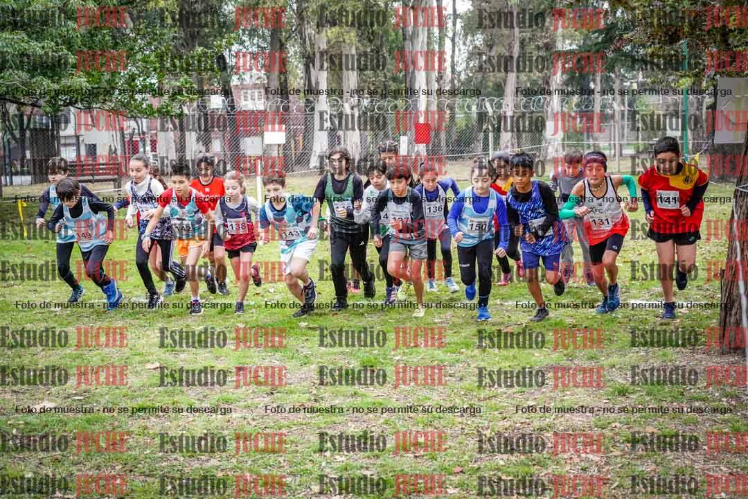 Fotos en de la largada