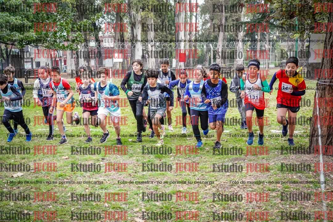 Fotos en de la largada
