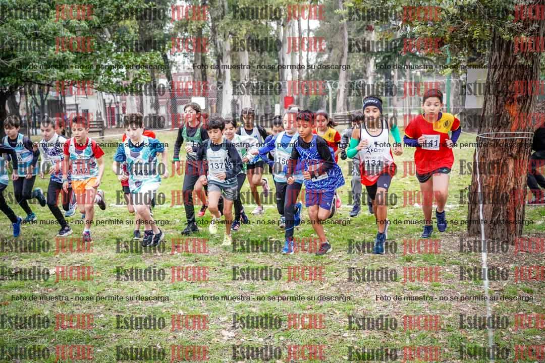 Fotos en de la largada