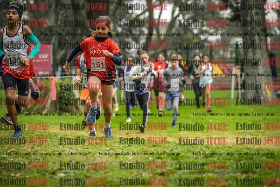 Fotos en el primer punto del circuito