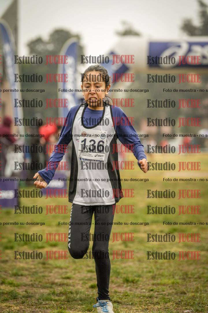 Fotos de la llegada del cross de 1000 m