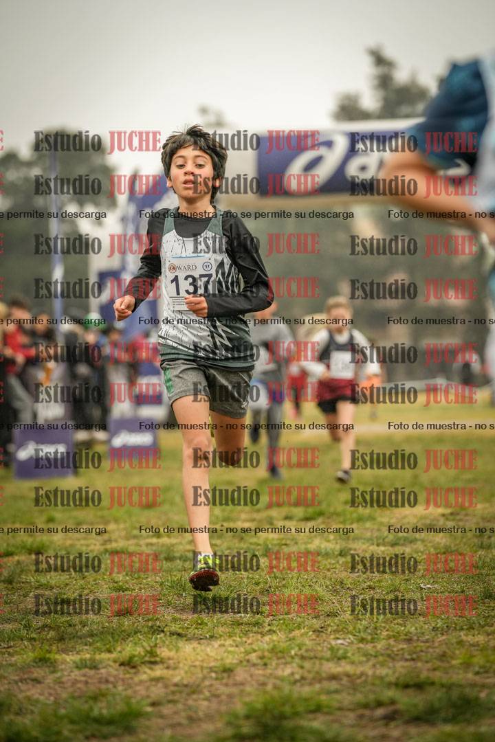 Fotos de la llegada del cross de 1000 m