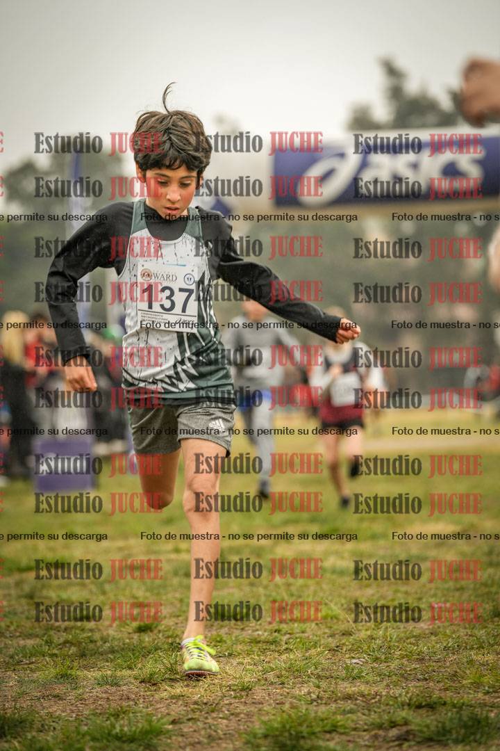 Fotos de la llegada del cross de 1000 m