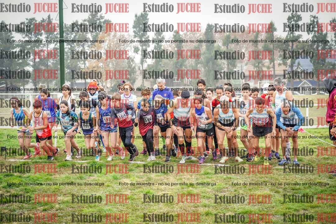 Fotos en de la largada