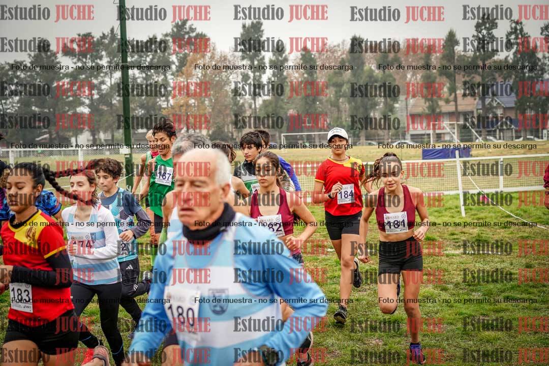 Fotos en de la largada
