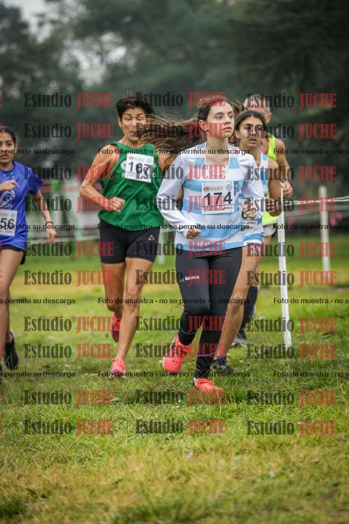 Fotos en el segundo punto del circuito