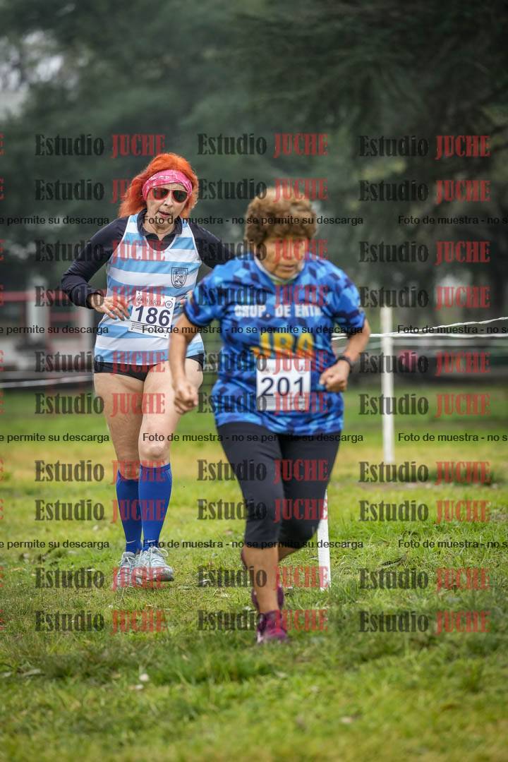 Fotos en el segundo punto del circuito