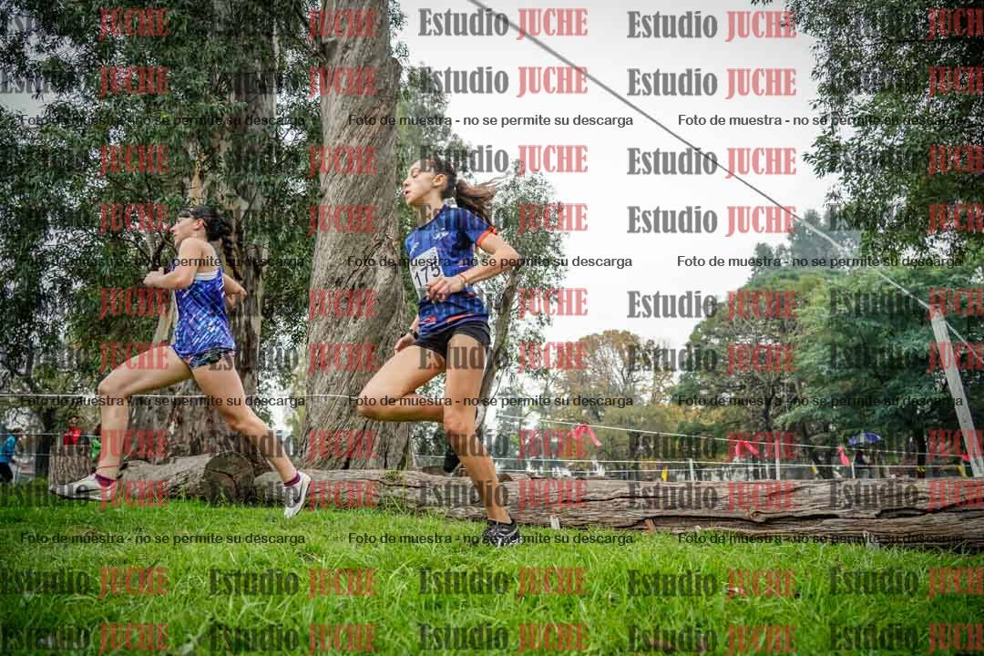 Fotos en el tercer punto del circuito