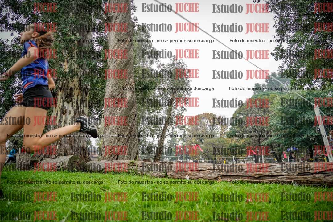 Fotos en el tercer punto del circuito