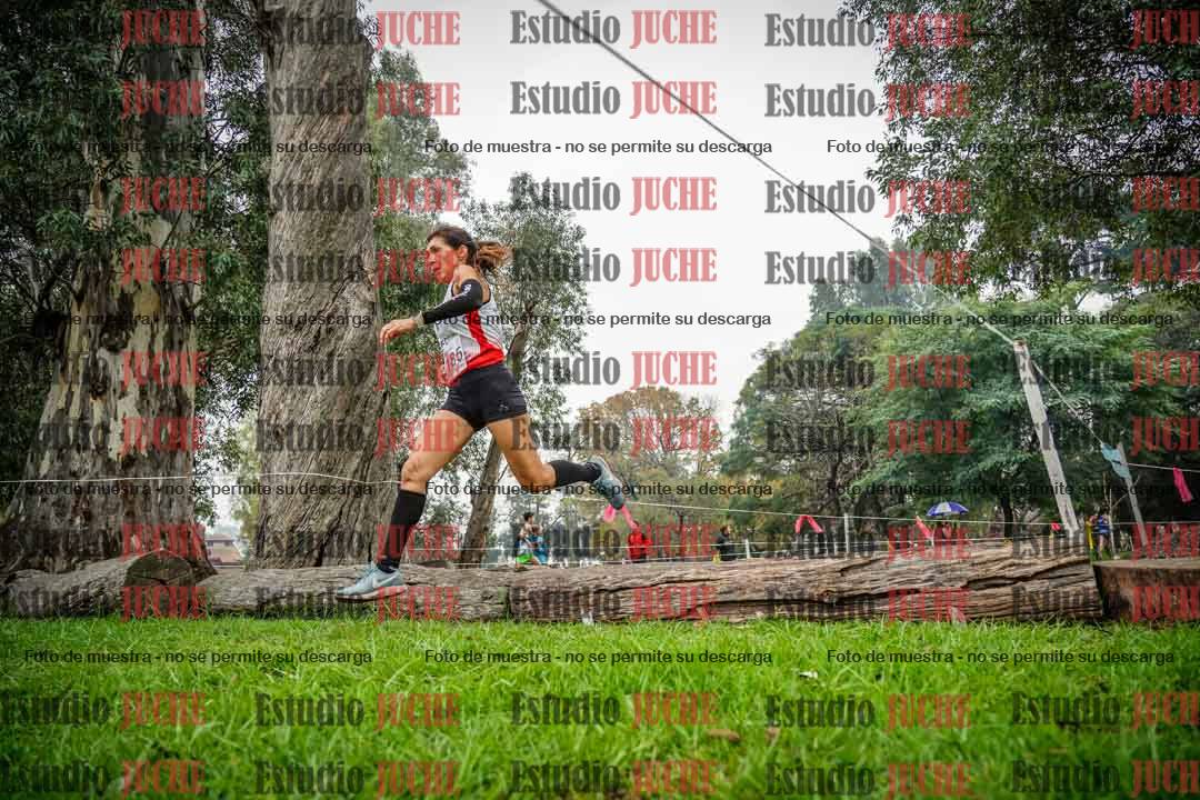 Fotos en el tercer punto del circuito