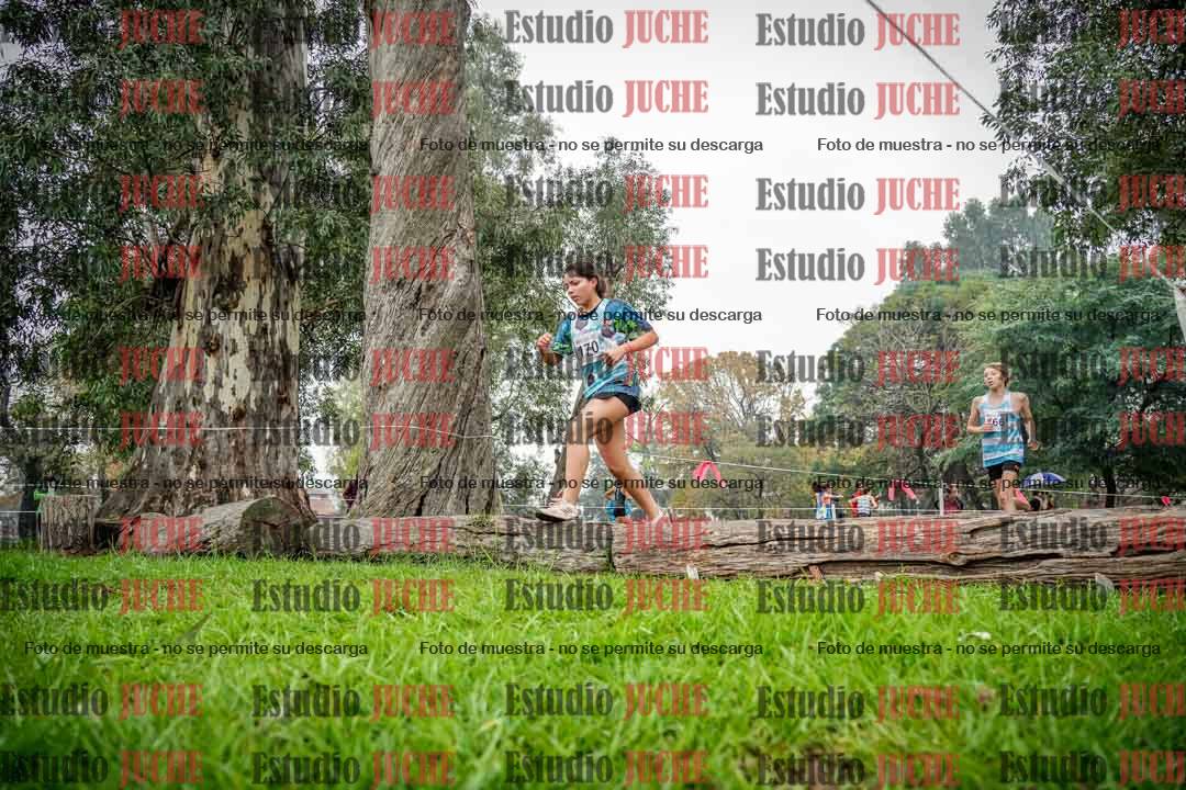 Fotos en el tercer punto del circuito