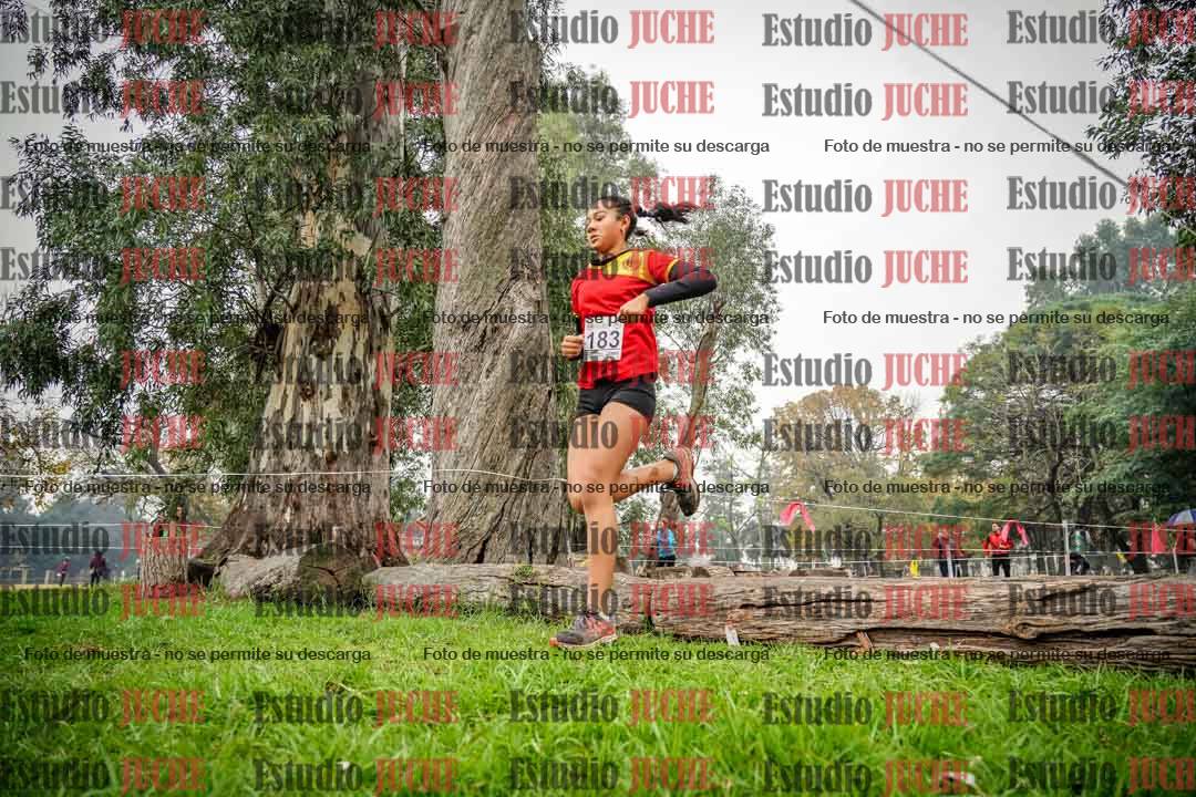 Fotos en el tercer punto del circuito