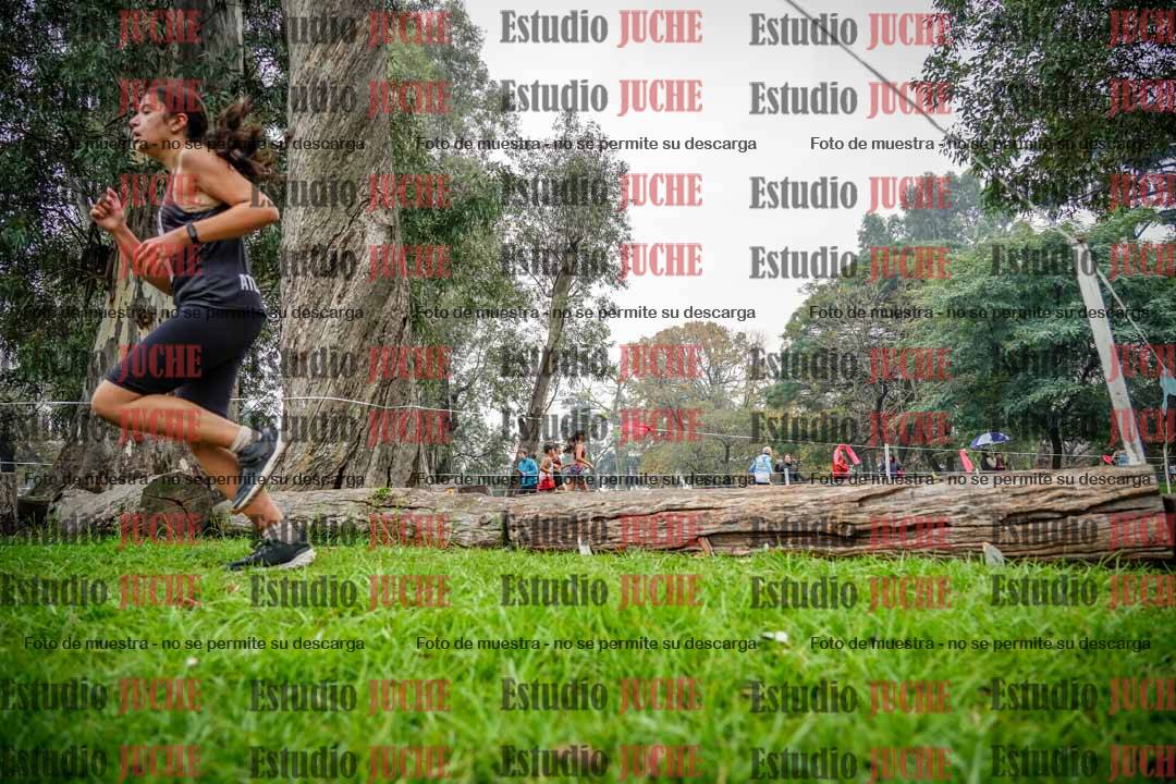 Fotos en el tercer punto del circuito