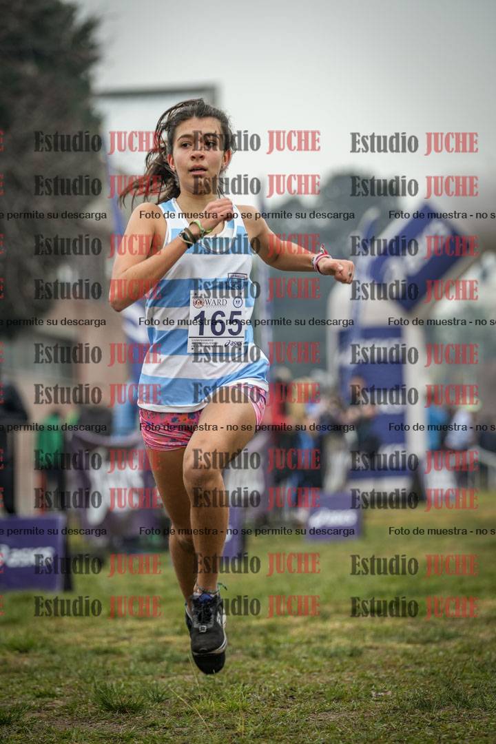 Fotos de la llegada del cross de 1500 m