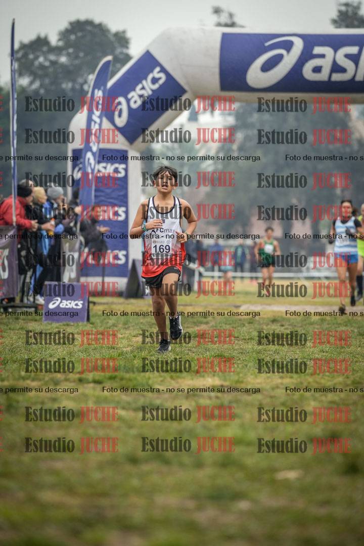 Fotos de la llegada del cross de 1500 m