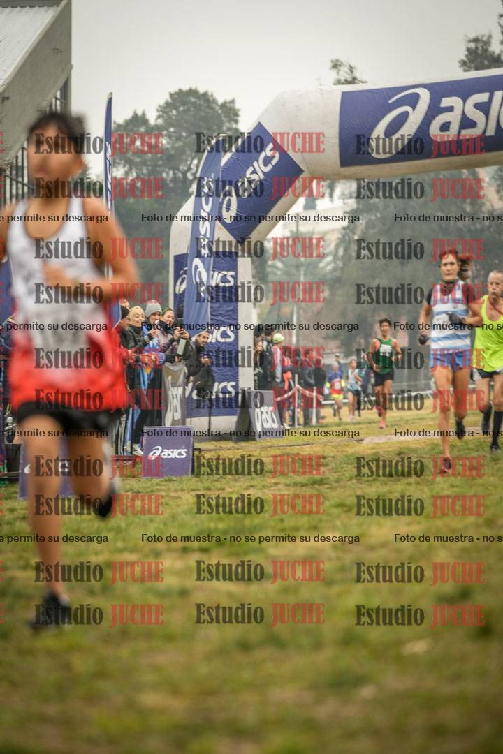 Fotos de la llegada del cross de 1500 m