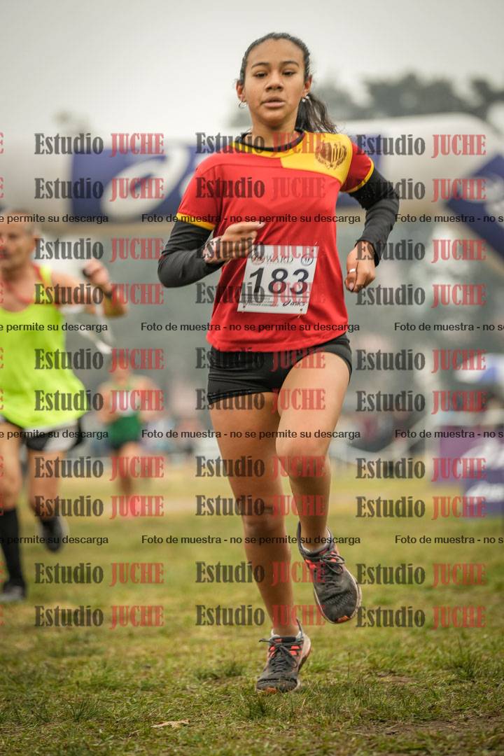 Fotos de la llegada del cross de 1500 m