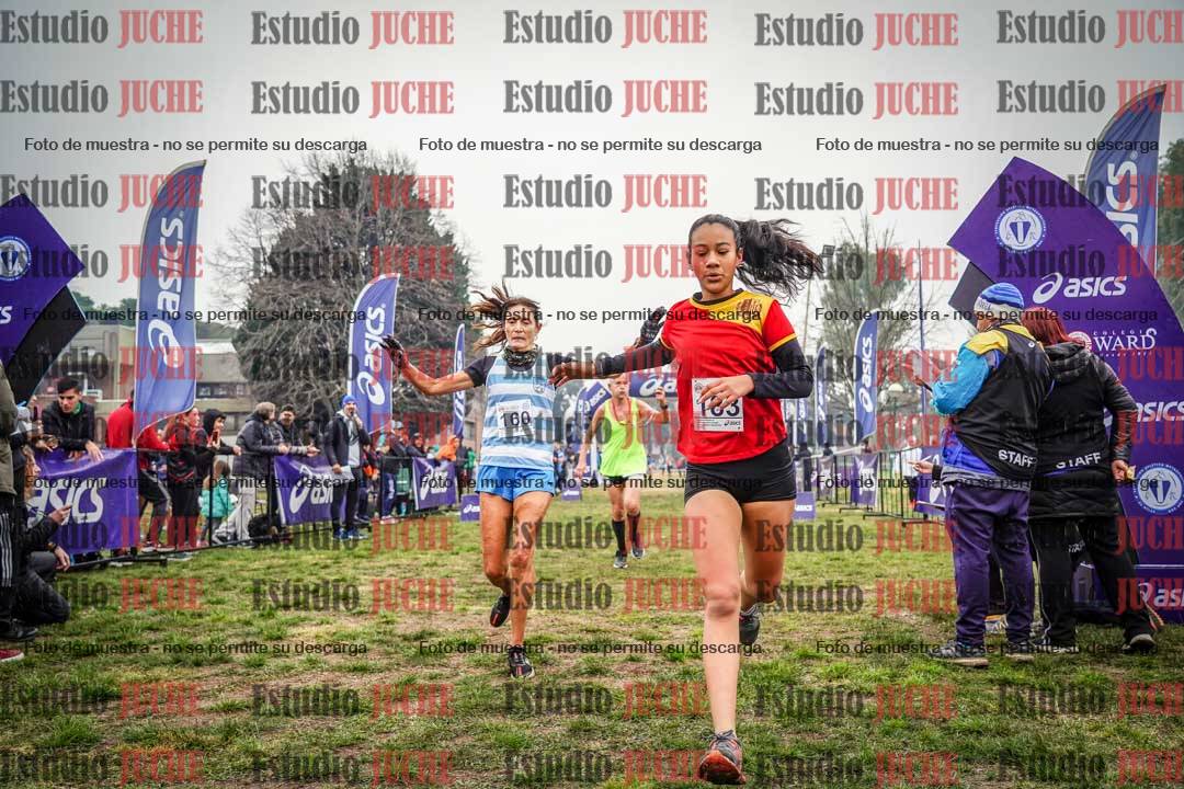 Fotos de la llegada del cross de 1500 m