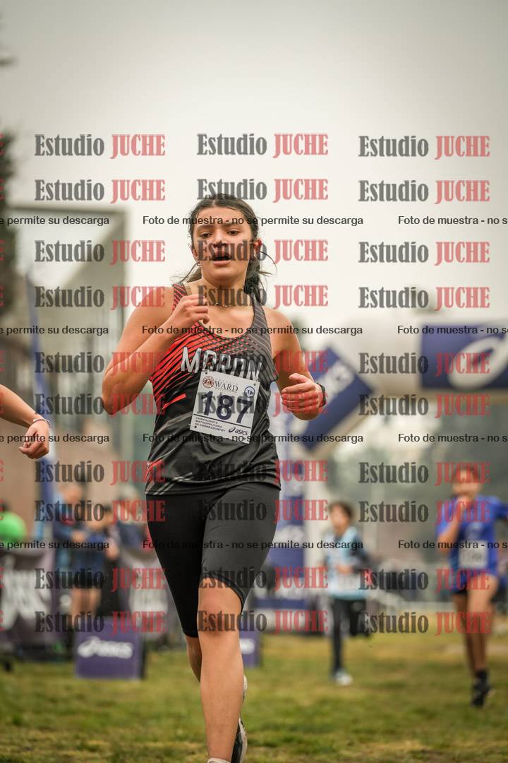 Fotos de la llegada del cross de 1500 m