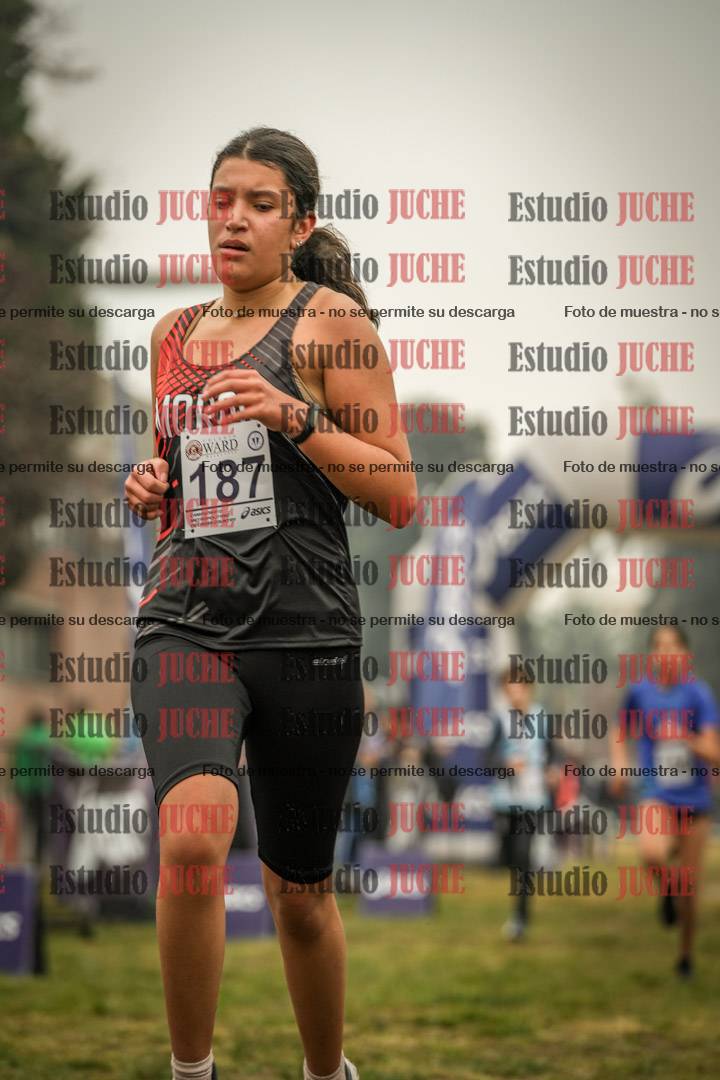 Fotos de la llegada del cross de 1500 m