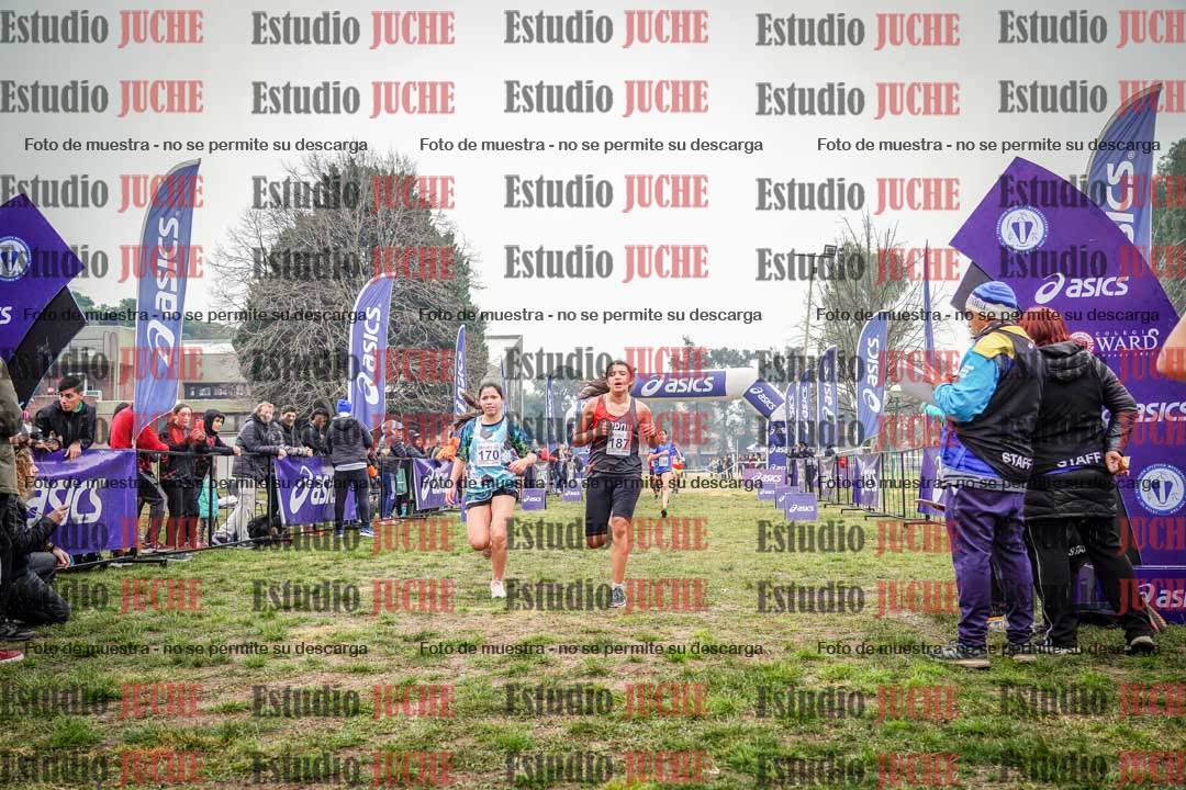 Fotos de la llegada del cross de 1500 m