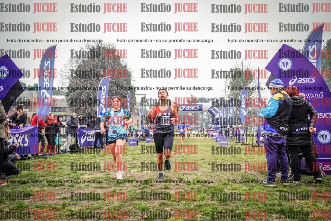 Fotos de la llegada del cross de 1500 m