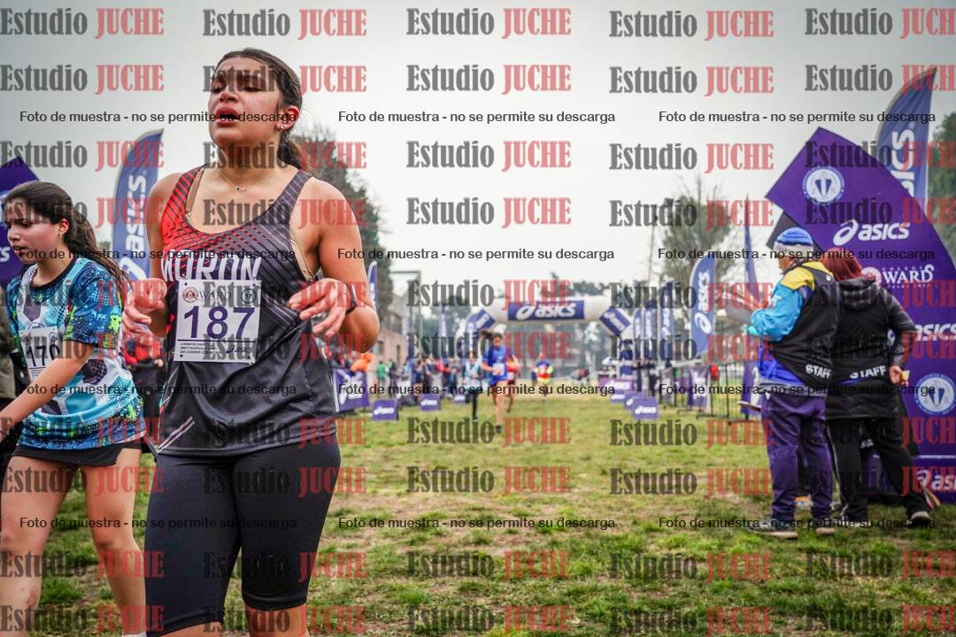 Fotos de la llegada del cross de 1500 m