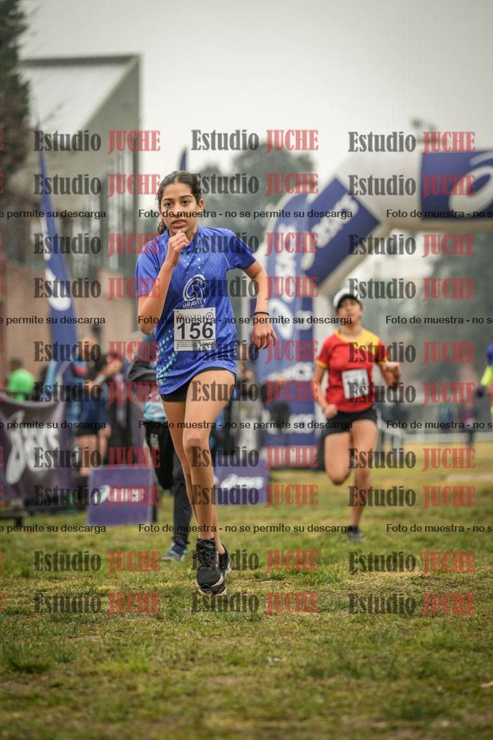 Fotos de la llegada del cross de 1500 m