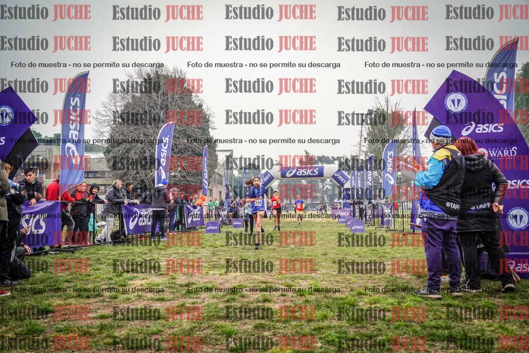 Fotos de la llegada del cross de 1500 m