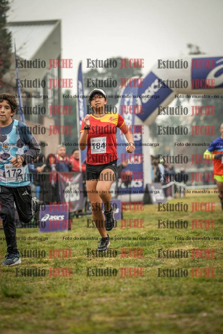 Fotos de la llegada del cross de 1500 m
