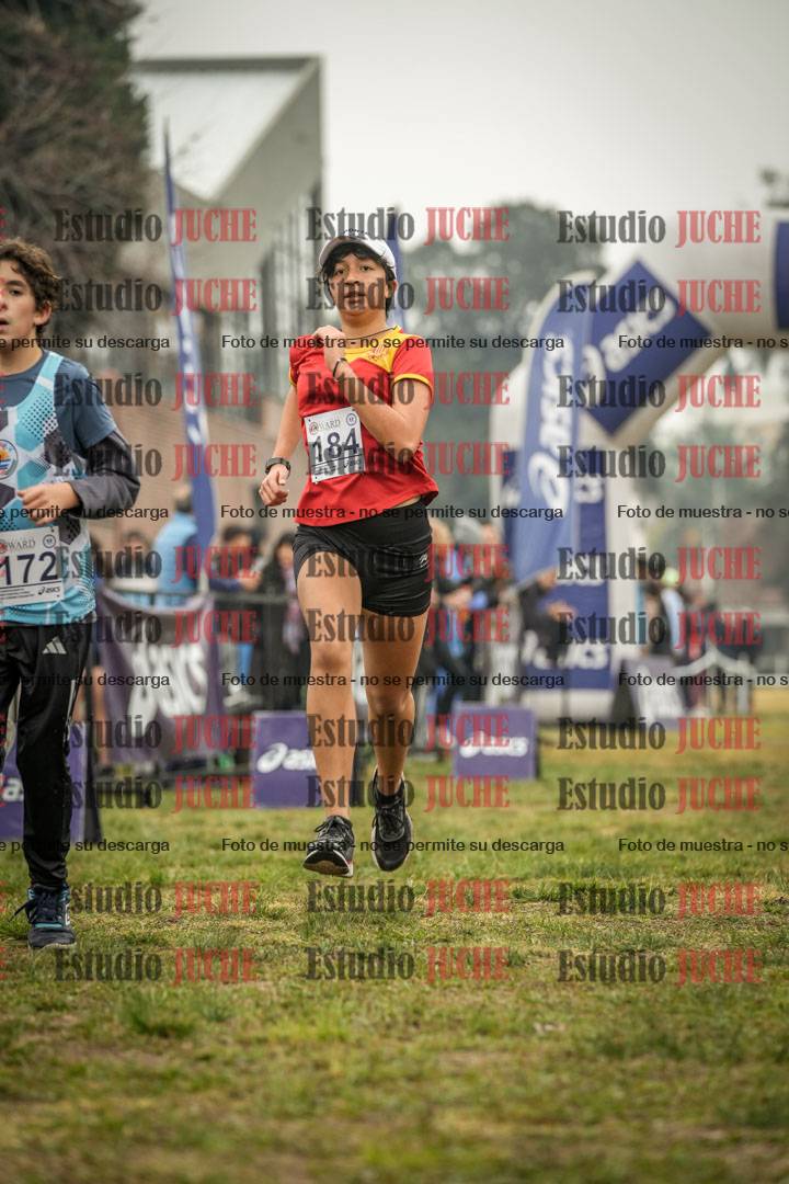 Fotos de la llegada del cross de 1500 m