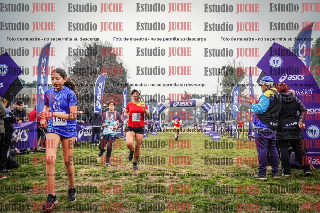 Fotos de la llegada del cross de 1500 m