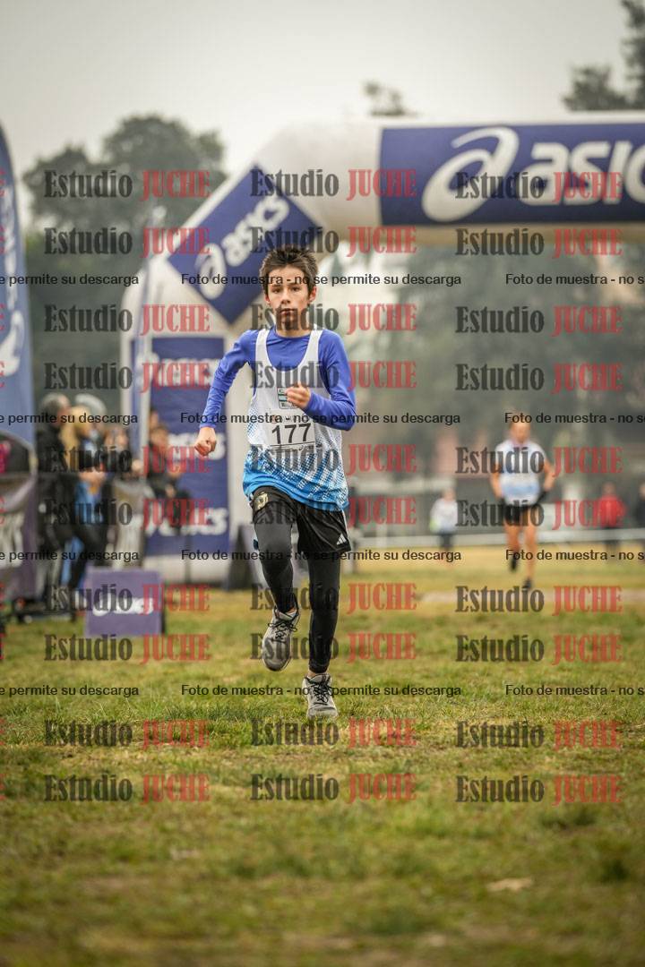 Fotos de la llegada del cross de 1500 m