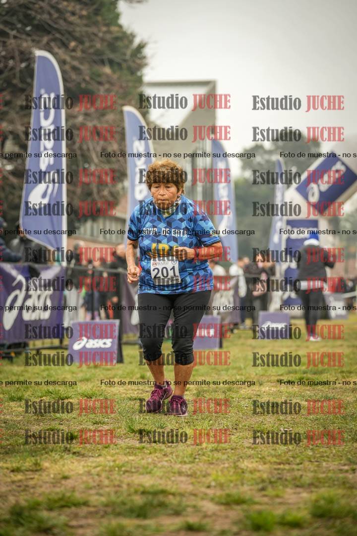 Fotos de la llegada del cross de 1500 m