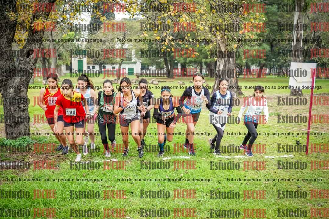 Fotos en de la largada