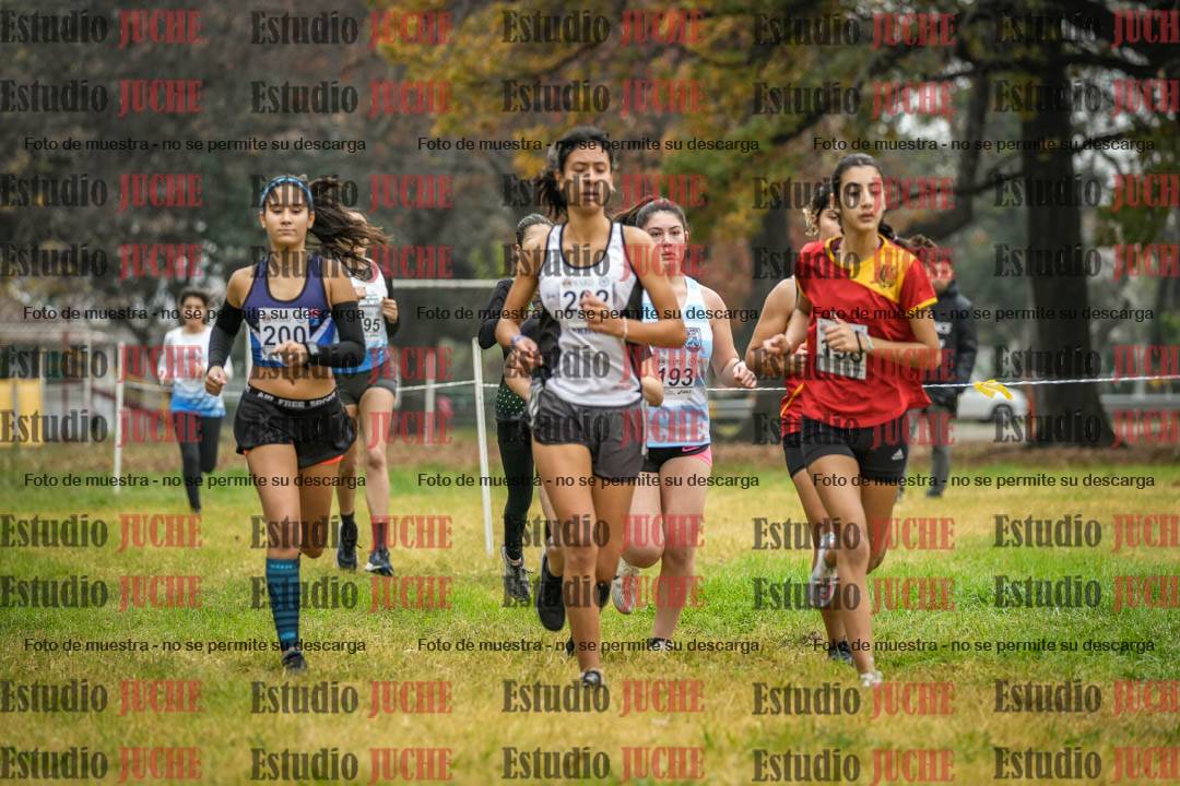 Fotos en el primer punto del circuito