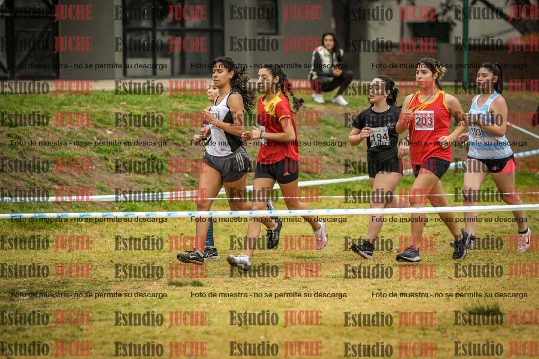 Fotos en el segundo punto del circuito