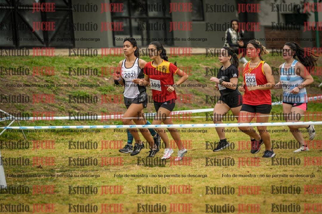 Fotos en el segundo punto del circuito