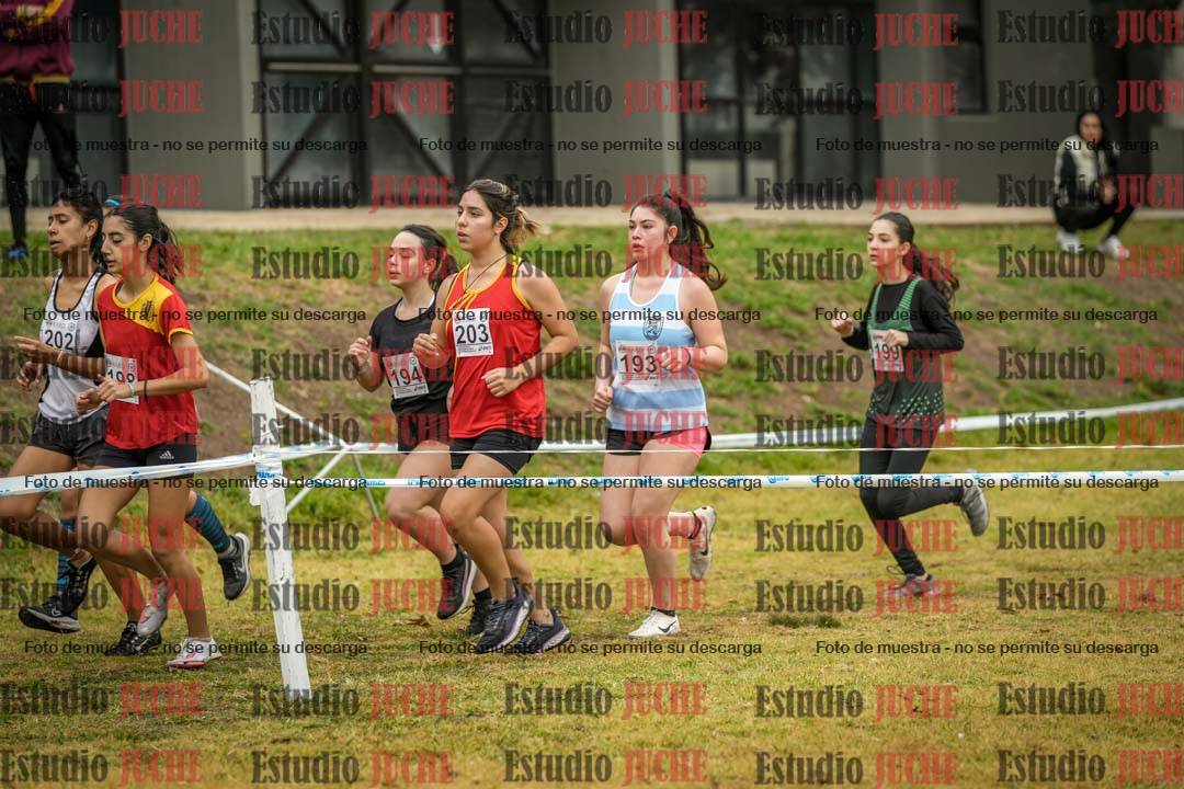 Fotos en el segundo punto del circuito