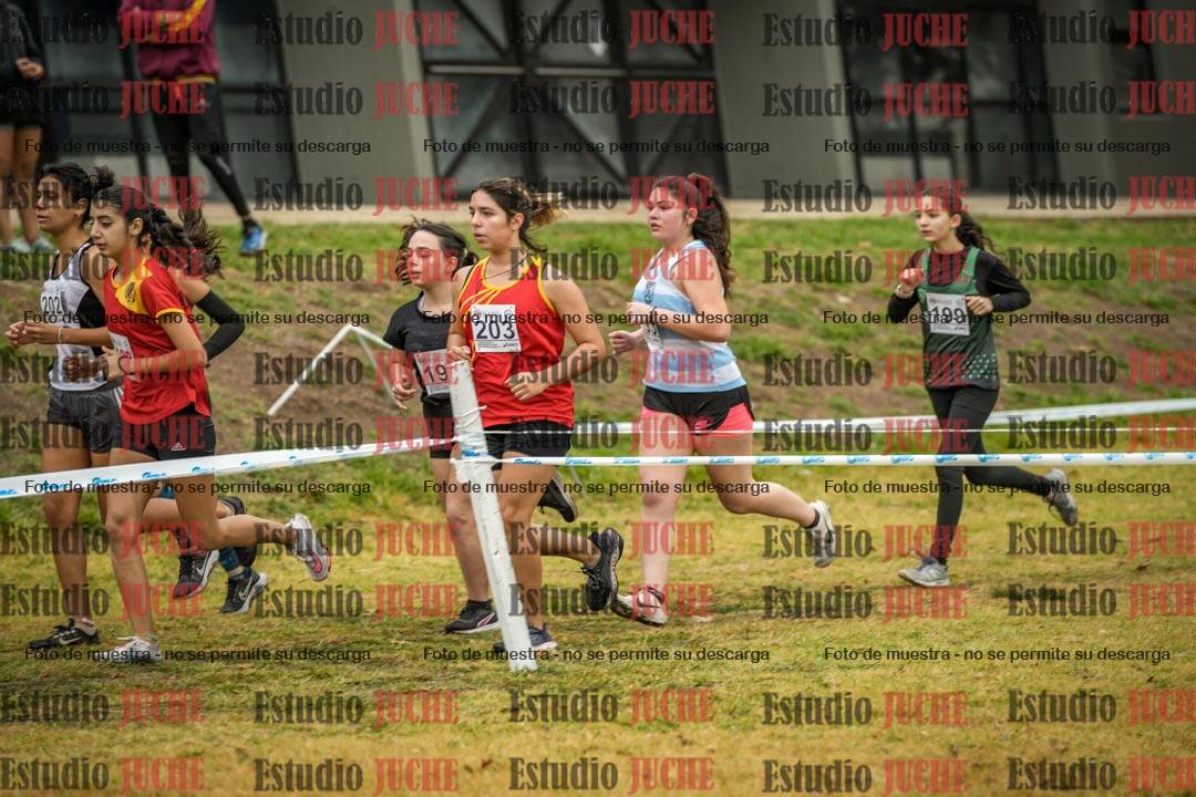 Fotos en el segundo punto del circuito